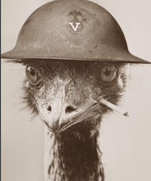 Estres? Lo solucionamos. Tenemos amplia experiencia. Comunícate conmigo